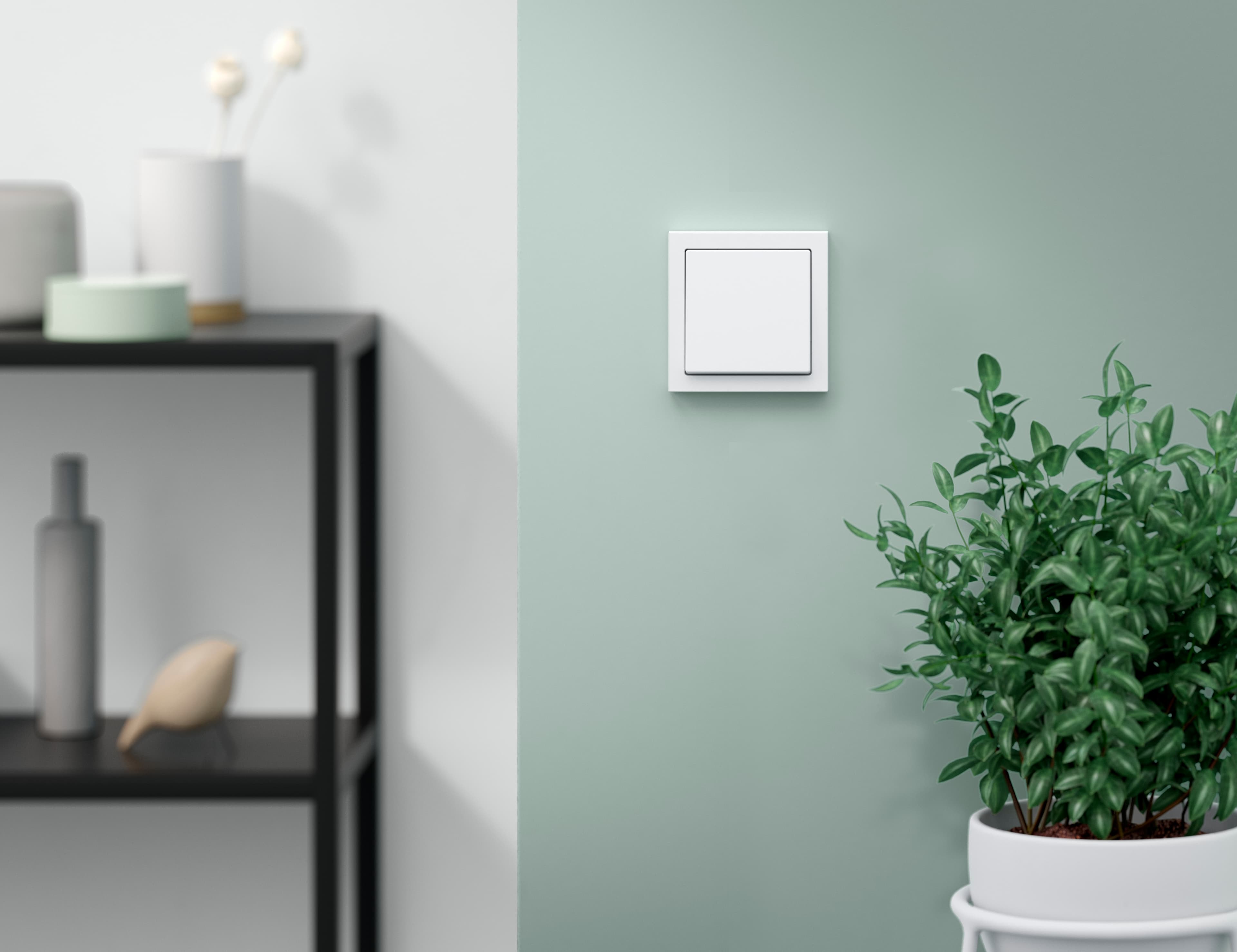 Schalter aus dem Programm future linear an einer grünen Wand neben einem Regal