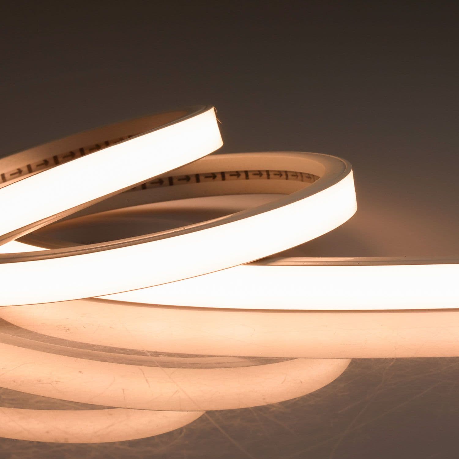 LED NEON927 Flexband B13H08, 24V DC, 12W, IP54, 2700K, 5m Rolle, 240LED/m, inkl. Montageclips
