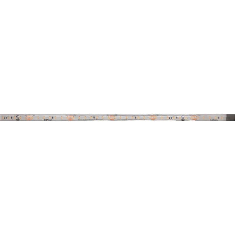 DOTLUX LED-Streifen 48W 10mm 2700K IP66 5m-Rolle inkl. 50cm Anschlusskabel beidseitig