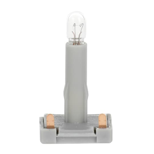 Steck-Glühlampe