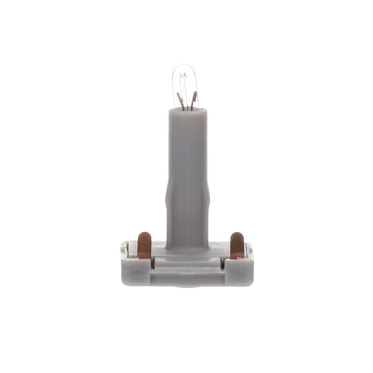 Steck-Glühlampe