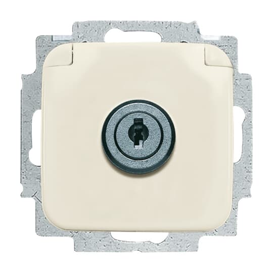 SCHUKO Steckdosen-Einsatz mit Klappdeckel , Zylinderschloss/abschließbar