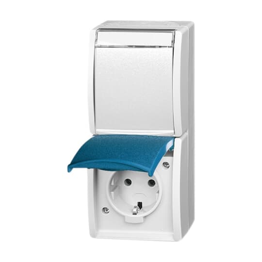 SCHUKO Doppelsteckdose mit Beschriftungsfeld mit Klappdeckel 16 A