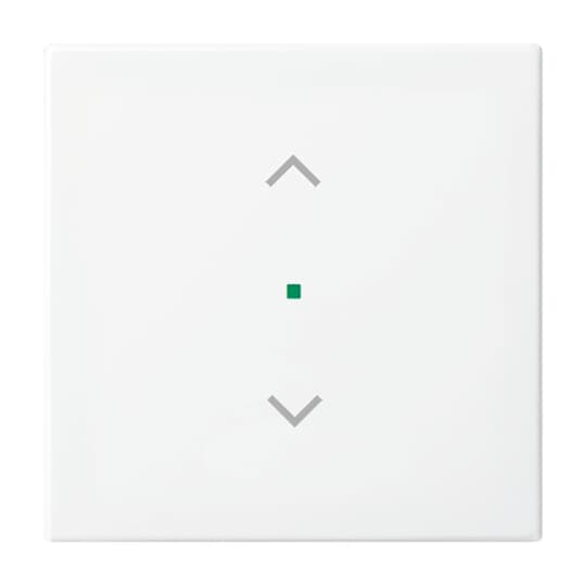 Wippe 1-fach, mit Symbol "Jalousie" Busch-balance SI