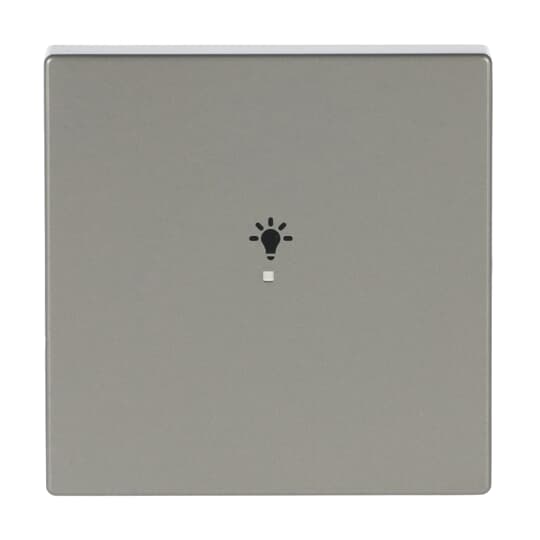 Wippe 1-fach, mit Symbol "Licht"