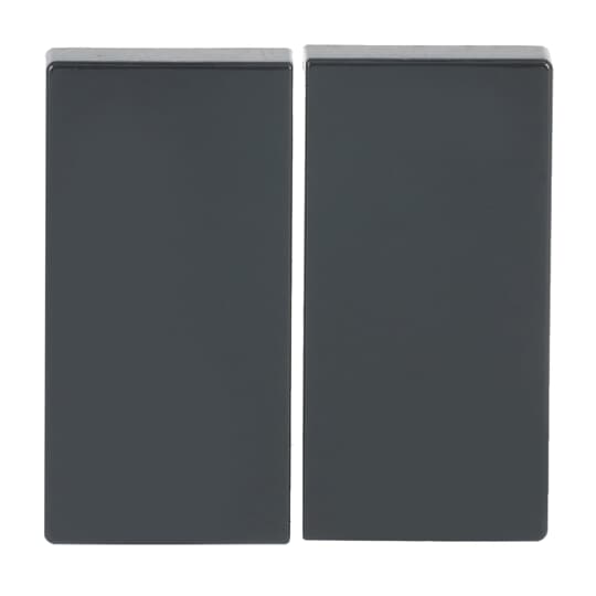 Wippe für Smart Switch 2-fach