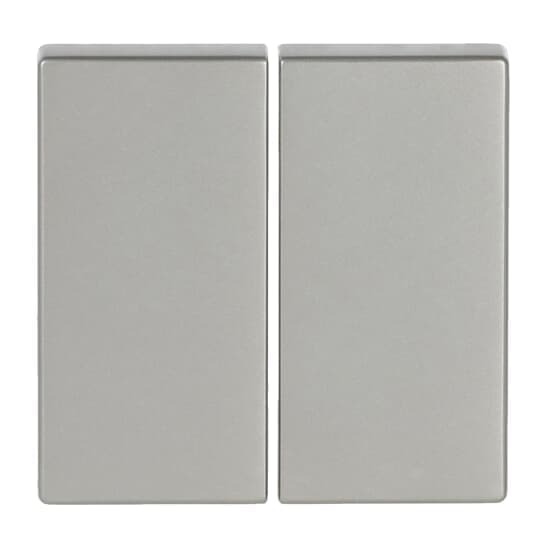 Wippe für Smart Switch 2-fach