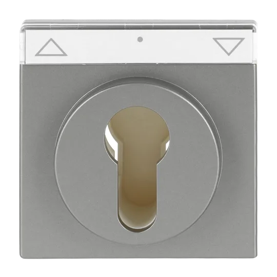 Zentralscheibe mit Beschriftungsfeld Symbol "Pfeile" oder "0