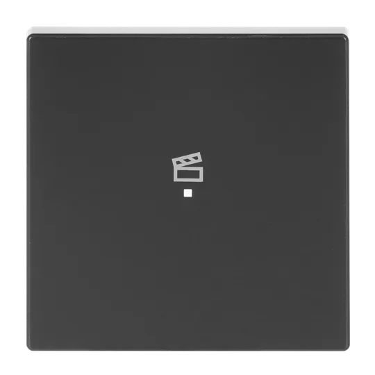 Wippe 1-fach, mit Symbol "Szene"