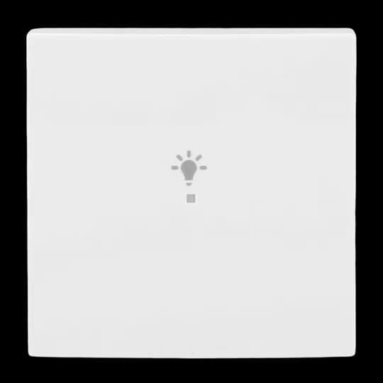 Wippe 1-fach, mit Symbol "Licht" Busch-balance SI