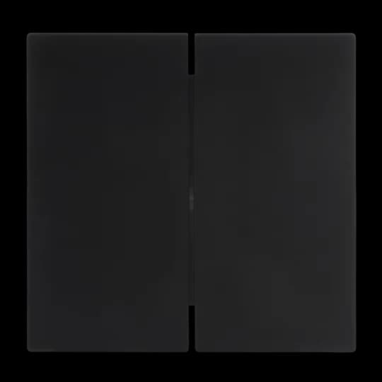 Wippe für Schalter/Taster, 2-fach