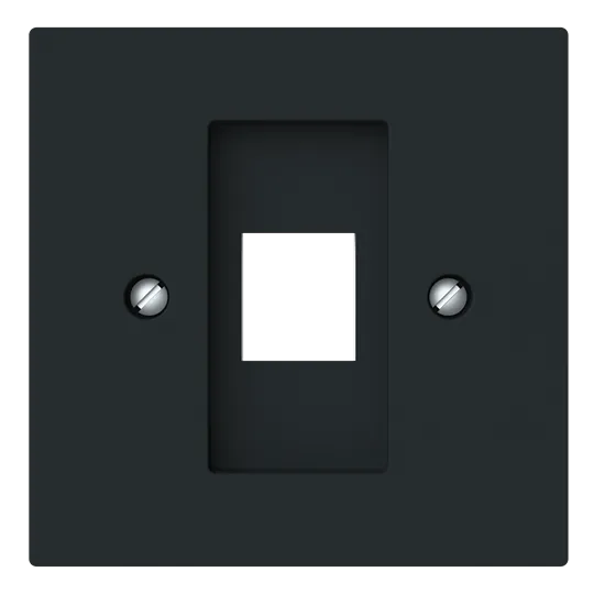 Zentralscheibe mit Tragring Modular-Jack 1-fach Busch-art linear