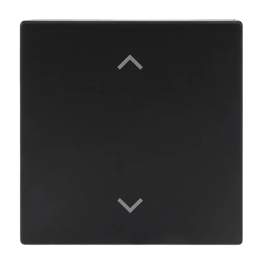 Abdeckung als Wippe 1-fach, mit Symbol "Auf/Ab", Format 63