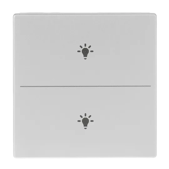Abdeckung als Taster 2-fach, mit Symbol "Beleuchtung", Format 63