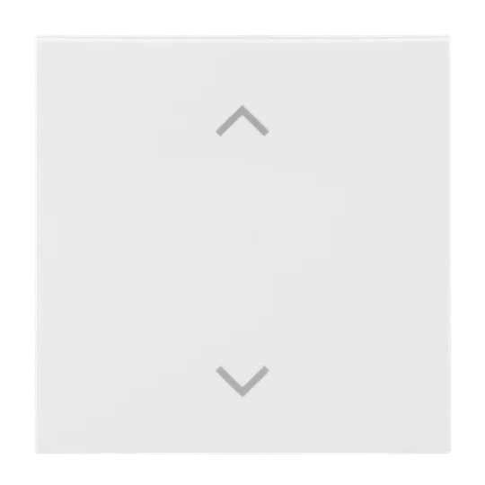 Abdeckung als Wippe 1-fach, mit Symbol "Auf/Ab", Busch-balance SI