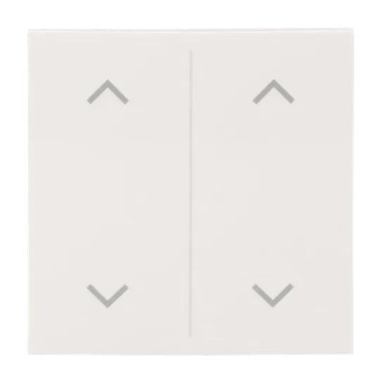 Abdeckung als Wippe 2-fach, mit Symbol "Auf/Ab", Busch-balance SI