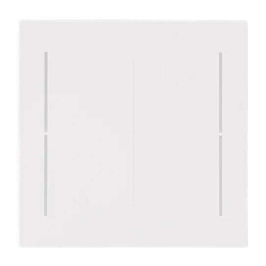 Abdeckung, 2-fach, Busch-art linear