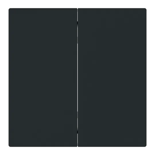 Wippe für Smart Switch 2-fach