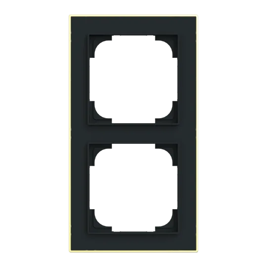 Abdeckrahmen mit Dekorring 2-fach /gold