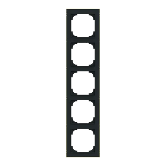 Abdeckrahmen mit Dekorring 5-fach /gold
