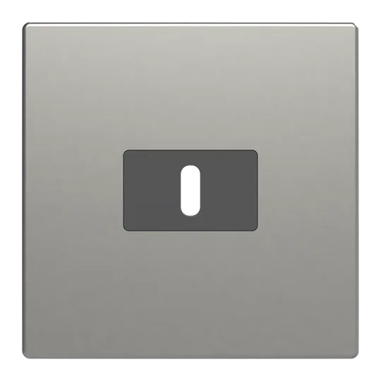 Zentralscheibe USB-C-Power-Netzteil-Einsatz 65Wpur