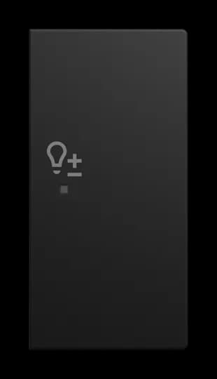 Wippe 2-fach rechts, mit Symbol "Dimmer" Busch-balance SI
