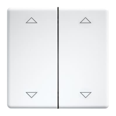 ELTAKO DW-FT55-rw+2P Doppelwippen
