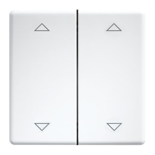 ELTAKO DW-FT55-wg+2P Doppelwippen