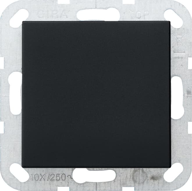 Blindabdeckung Tragring System 55 Schwarz matt (lackiert) 0268005