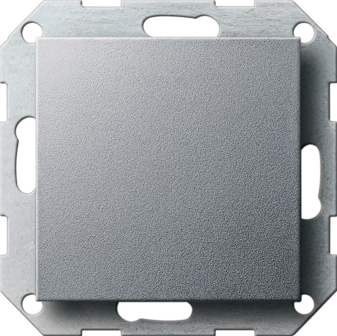 Blindabdeckung Tragring System 55 Farbe Alu 026826