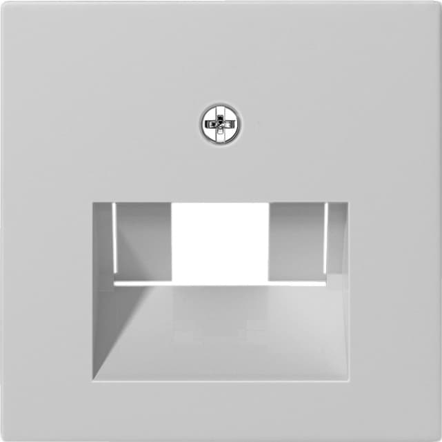 Abdeckung UAE/IAE+Netzwerk System 55 Grau matt (lackiert) 0270015