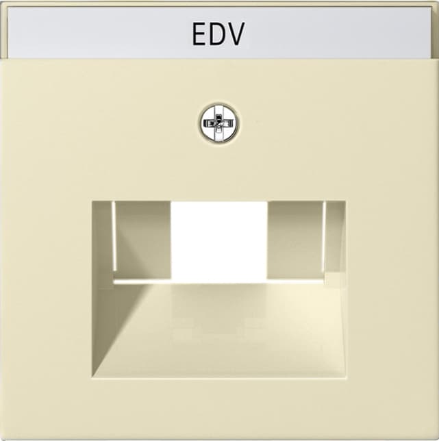 Abdeckung+ BSF UAE/IAE+ Netzwerk System 55 Cremeweiß glänzend 028401
