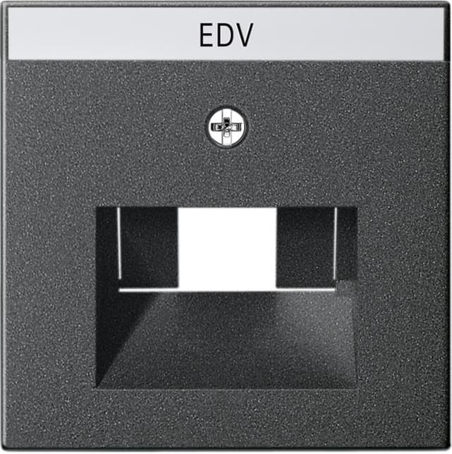 Abdeckung+ BSF UAE/IAE+ Netzwerk System 55 Anthrazit 028428