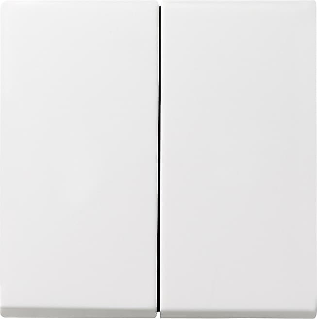 Wippe 2fach System 55