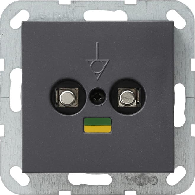 Potenzialausgleich-Dose 2fach System 55 Anthrazit 040528