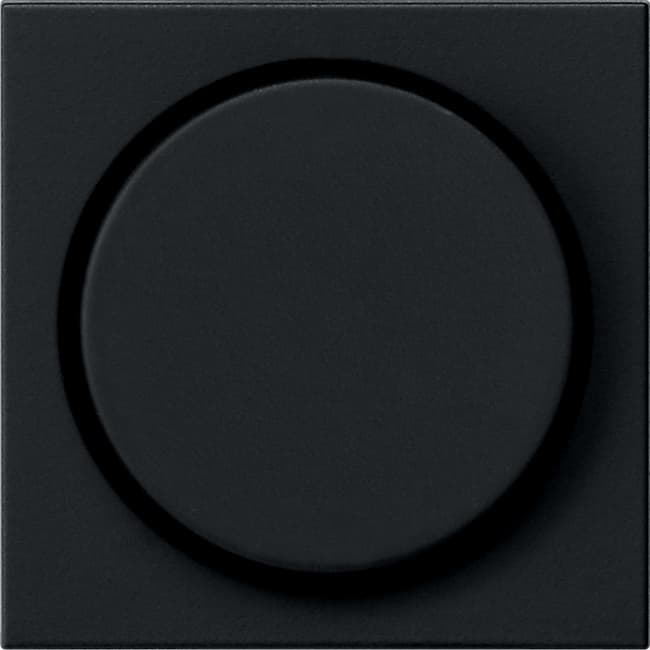 Abdeckung Knopf System 55 Schwarz matt (lackiert) 0650005