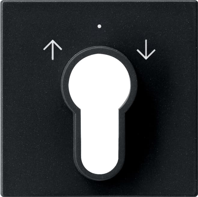 Abdeckung Schlüsselschalter /-taster System 55 Schwarz matt (lack.) 0664005