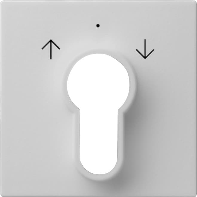 Abdeckung Schlüsselschalter /-taster System 55