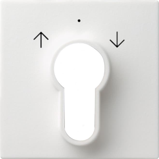 Abdeckung Schlüsselschalter /-taster System 55 Reinweiß glänzend 066403