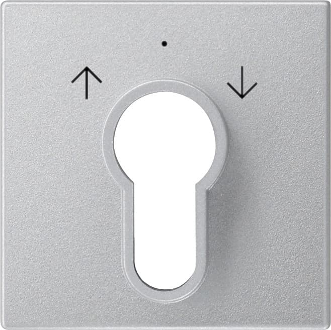 Abdeckung Schlüsselschalter /-taster System 55 Farbe Alu 066426