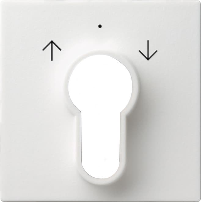 Abdeckung Schlüsselschalter /-taster System 55 Reinweiß seidenmatt 066427
