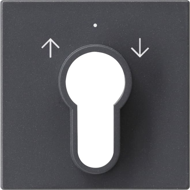 Abdeckung Schlüsselschalter /-taster System 55 Anthrazit 066428