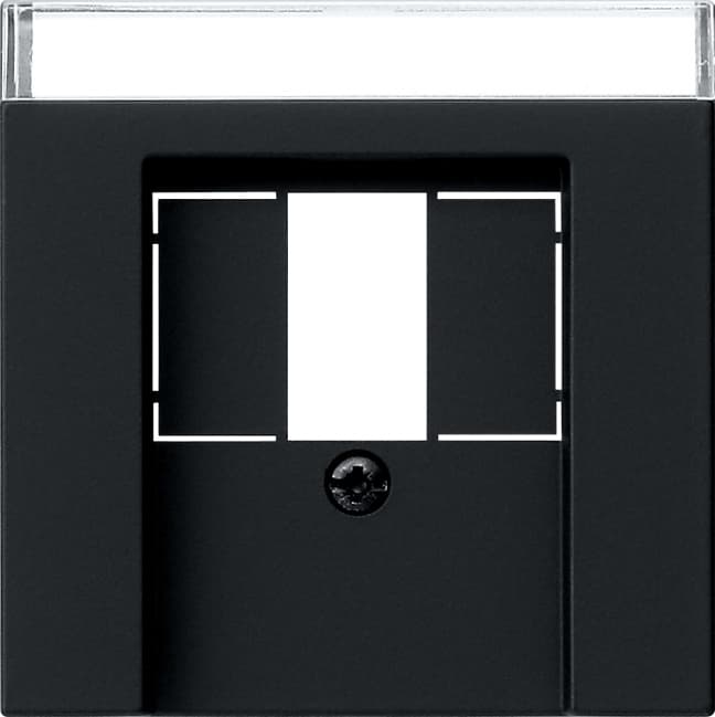 Abdeckung+BSF TAE USB System 55 Schwarz matt (lackiert) 0876005