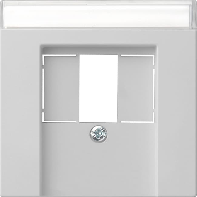 Abdeckung+BSF TAE USB System 55 Grau matt (lackiert) 0876015