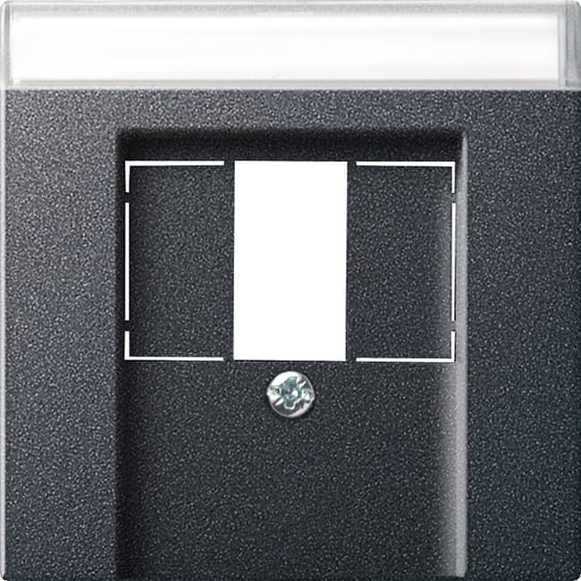 Abdeckung+BSF TAE USB System 55 Anthrazit 087628