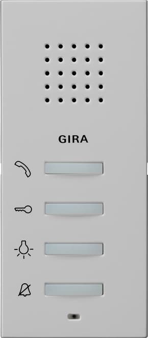 Wohnungsstation AP System 55 Grau matt (lackiert) 1250015