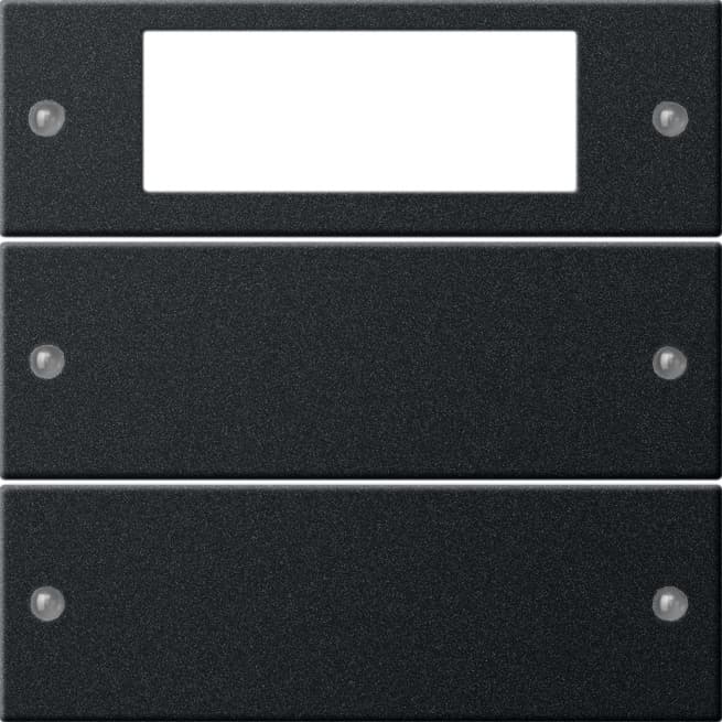 Wippenset 2fach Plus System 55 Schwarz matt (lackiert) 2192005