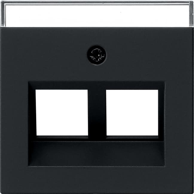 Abdeckung 30 +BSF Tragring MJ 2fach System 55 Schwarz matt (lack.) 2640005
