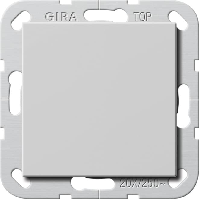 Wippschalter BS 20AX Aus 2-polig System 55 Grau matt (lackiert) 2836015