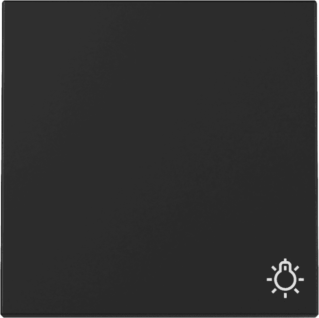 Wippe Symbol Licht System 55 Schwarz matt (lackiert) 3285005
